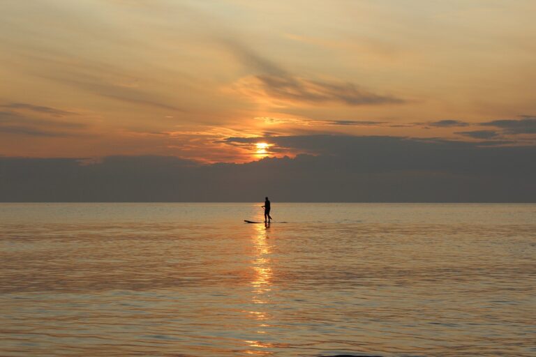 sunset, paddle, stand up-6143253.jpg